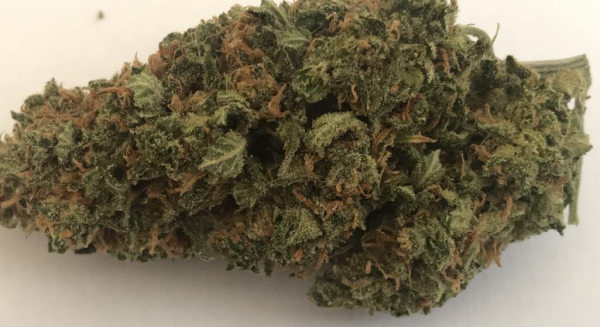 Buy Amnesia Haze Online