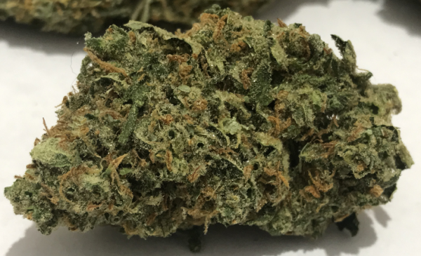 Buy Lemon Haze Online