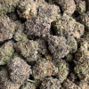 Buy Purple Punch Strain