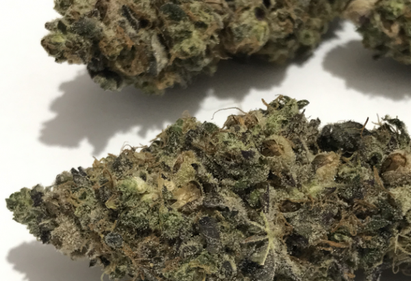 Buy Trainwreck Cannabis Strain