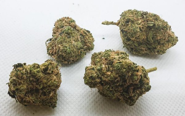 Buy Skywalker OG Online