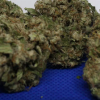 Buy AK-47 Strain Online