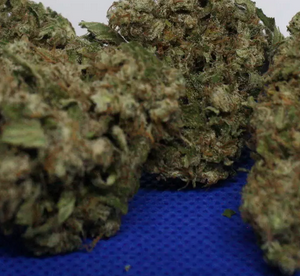 Buy AK-47 Strain Online