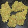 Buy Assassin OG Online